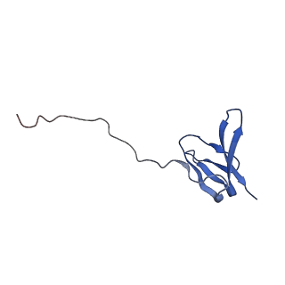 17743_8pkl_z_v1-0
Escherichia coli paused disome complex (leading 70S non-rotated closed PRE state)