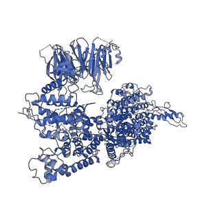 17751_8pkp_A_v1-0
Cryo-EM structure of the apo Anaphase-promoting complex/cyclosome (APC/C) at 3.2 Angstrom resolution