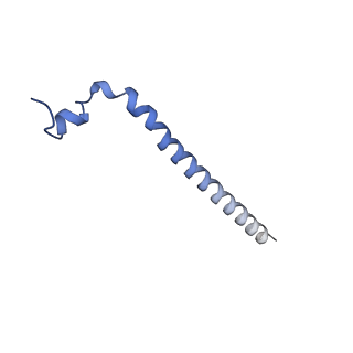 17751_8pkp_H_v1-0
Cryo-EM structure of the apo Anaphase-promoting complex/cyclosome (APC/C) at 3.2 Angstrom resolution