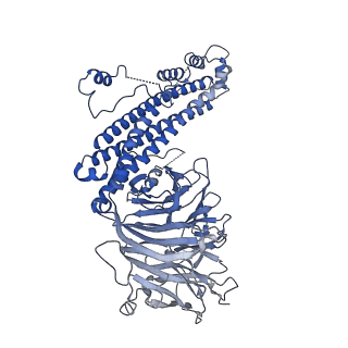 17751_8pkp_I_v1-0
Cryo-EM structure of the apo Anaphase-promoting complex/cyclosome (APC/C) at 3.2 Angstrom resolution