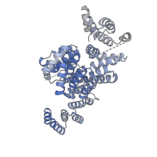 17751_8pkp_J_v1-0
Cryo-EM structure of the apo Anaphase-promoting complex/cyclosome (APC/C) at 3.2 Angstrom resolution