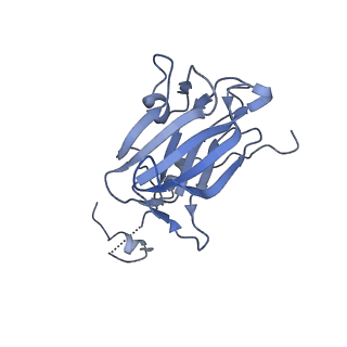 17751_8pkp_L_v1-0
Cryo-EM structure of the apo Anaphase-promoting complex/cyclosome (APC/C) at 3.2 Angstrom resolution