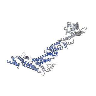 17751_8pkp_N_v1-0
Cryo-EM structure of the apo Anaphase-promoting complex/cyclosome (APC/C) at 3.2 Angstrom resolution