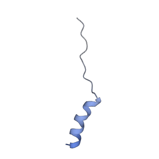 17751_8pkp_W_v1-0
Cryo-EM structure of the apo Anaphase-promoting complex/cyclosome (APC/C) at 3.2 Angstrom resolution
