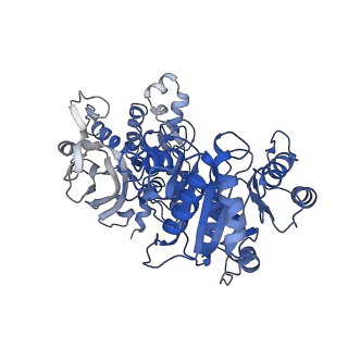20354_6pk4_A_v1-2
cryoEM structure of the substrate-bound human CTP synthase 2 filament