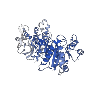 20354_6pk4_A_v1-3
cryoEM structure of the substrate-bound human CTP synthase 2 filament