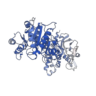20354_6pk4_B_v1-2
cryoEM structure of the substrate-bound human CTP synthase 2 filament