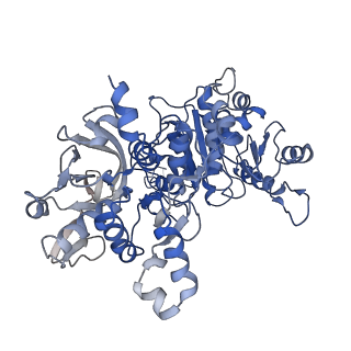 20354_6pk4_C_v1-2
cryoEM structure of the substrate-bound human CTP synthase 2 filament
