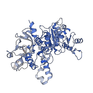 20354_6pk4_C_v1-3
cryoEM structure of the substrate-bound human CTP synthase 2 filament