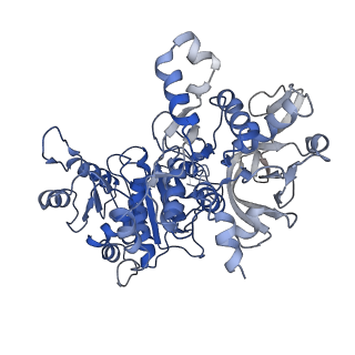 20354_6pk4_D_v1-2
cryoEM structure of the substrate-bound human CTP synthase 2 filament