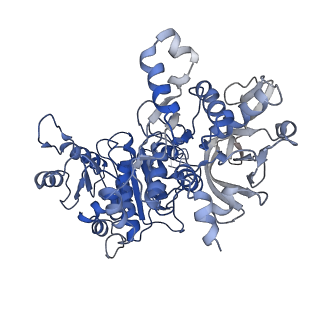 20354_6pk4_D_v1-3
cryoEM structure of the substrate-bound human CTP synthase 2 filament