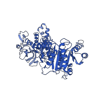 20355_6pk7_A_v1-2
cryoEM structure of the product-bound human CTP synthase 2 filament