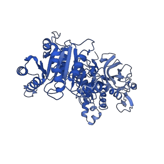 20355_6pk7_D_v1-2
cryoEM structure of the product-bound human CTP synthase 2 filament