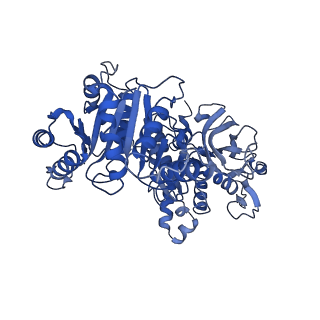 20355_6pk7_D_v1-3
cryoEM structure of the product-bound human CTP synthase 2 filament