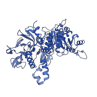 20355_6pk7_E_v1-2
cryoEM structure of the product-bound human CTP synthase 2 filament