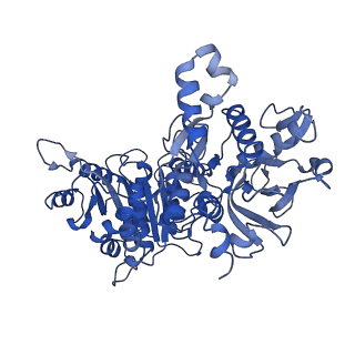 20355_6pk7_F_v1-2
cryoEM structure of the product-bound human CTP synthase 2 filament