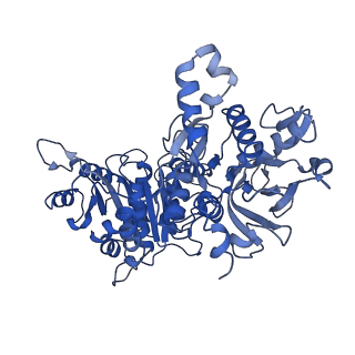 20355_6pk7_F_v1-3
cryoEM structure of the product-bound human CTP synthase 2 filament