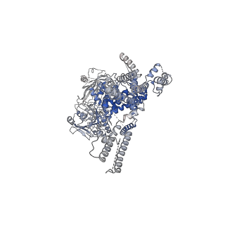 20367_6pkv_A_v1-2
Cryo-EM structure of the zebrafish TRPM2 channel in the apo conformation, processed with C4 symmetry