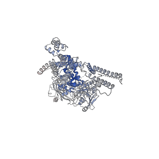 20367_6pkv_B_v1-2
Cryo-EM structure of the zebrafish TRPM2 channel in the apo conformation, processed with C4 symmetry