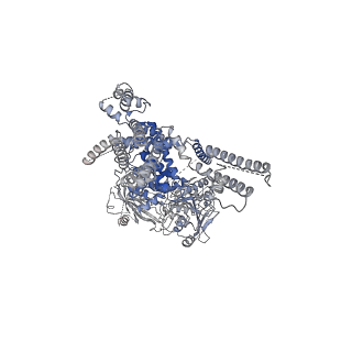 20367_6pkv_B_v1-3
Cryo-EM structure of the zebrafish TRPM2 channel in the apo conformation, processed with C4 symmetry