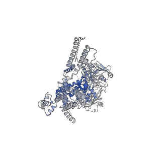 20367_6pkv_C_v1-2
Cryo-EM structure of the zebrafish TRPM2 channel in the apo conformation, processed with C4 symmetry