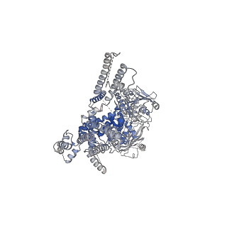 20367_6pkv_C_v1-3
Cryo-EM structure of the zebrafish TRPM2 channel in the apo conformation, processed with C4 symmetry