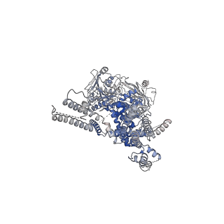 20367_6pkv_D_v1-2
Cryo-EM structure of the zebrafish TRPM2 channel in the apo conformation, processed with C4 symmetry