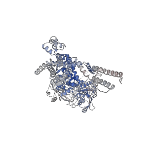 20368_6pkw_A_v1-2
Cryo-EM structure of the zebrafish TRPM2 channel in the apo conformation, processed with C2 symmetry (pseudo C4 symmetry)