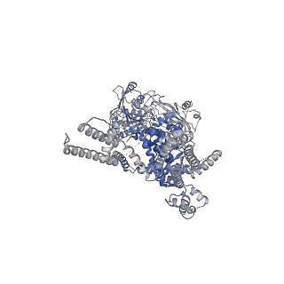 20368_6pkw_C_v1-2
Cryo-EM structure of the zebrafish TRPM2 channel in the apo conformation, processed with C2 symmetry (pseudo C4 symmetry)