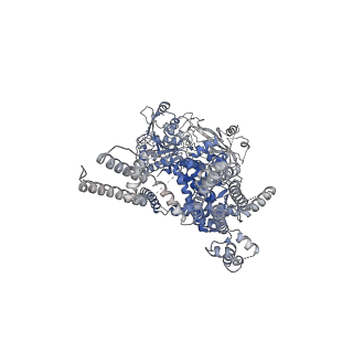 20368_6pkw_C_v1-3
Cryo-EM structure of the zebrafish TRPM2 channel in the apo conformation, processed with C2 symmetry (pseudo C4 symmetry)