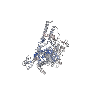 20368_6pkw_D_v1-3
Cryo-EM structure of the zebrafish TRPM2 channel in the apo conformation, processed with C2 symmetry (pseudo C4 symmetry)