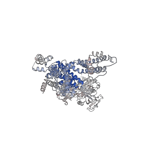 20369_6pkx_C_v1-2
Cryo-EM structure of the zebrafish TRPM2 channel in the presence of ADPR and Ca2+