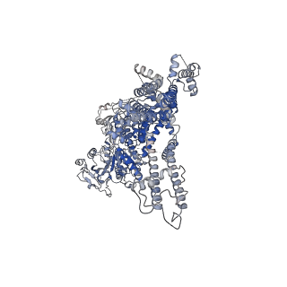 20369_6pkx_D_v1-2
Cryo-EM structure of the zebrafish TRPM2 channel in the presence of ADPR and Ca2+