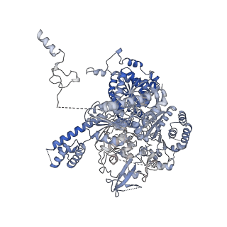 13493_7plm_A_v1-1
CryoEM reconstruction of pyruvate ferredoxin oxidoreductase (PFOR) in anaerobic conditions