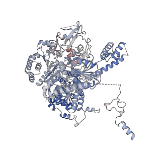 13493_7plm_B_v1-1
CryoEM reconstruction of pyruvate ferredoxin oxidoreductase (PFOR) in anaerobic conditions