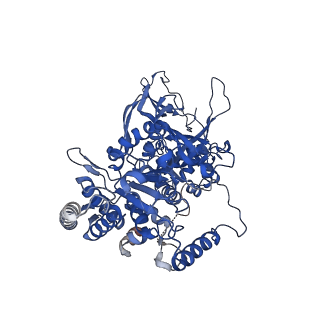 13494_7plo_3_v1-1
H. sapiens replisome-CUL2/LRR1 complex