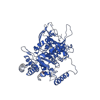 13494_7plo_3_v3-0
H. sapiens replisome-CUL2/LRR1 complex