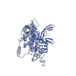 13494_7plo_4_v1-1
H. sapiens replisome-CUL2/LRR1 complex