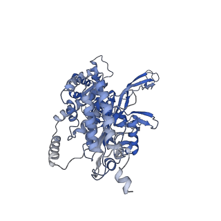 13494_7plo_4_v3-0
H. sapiens replisome-CUL2/LRR1 complex