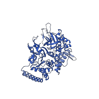 13494_7plo_5_v1-1
H. sapiens replisome-CUL2/LRR1 complex