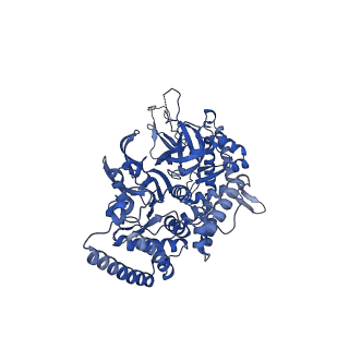 13494_7plo_5_v3-0
H. sapiens replisome-CUL2/LRR1 complex