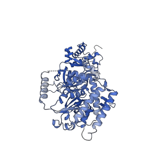 13494_7plo_6_v1-1
H. sapiens replisome-CUL2/LRR1 complex