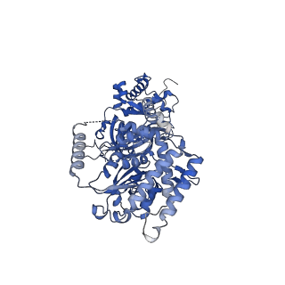 13494_7plo_6_v3-0
H. sapiens replisome-CUL2/LRR1 complex