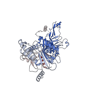 13494_7plo_7_v1-1
H. sapiens replisome-CUL2/LRR1 complex
