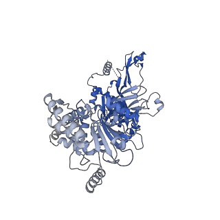 13494_7plo_7_v3-0
H. sapiens replisome-CUL2/LRR1 complex