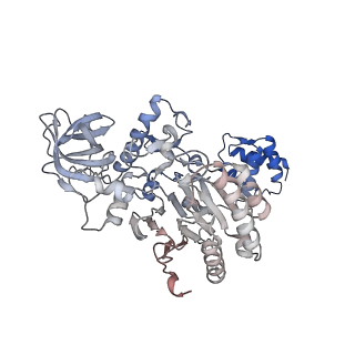 13494_7plo_A_v1-1
H. sapiens replisome-CUL2/LRR1 complex