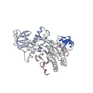13494_7plo_A_v3-0
H. sapiens replisome-CUL2/LRR1 complex