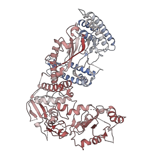 13494_7plo_B_v1-1
H. sapiens replisome-CUL2/LRR1 complex