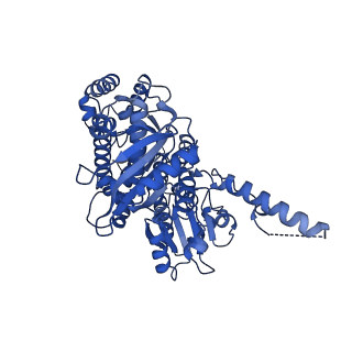 13494_7plo_C_v1-1
H. sapiens replisome-CUL2/LRR1 complex
