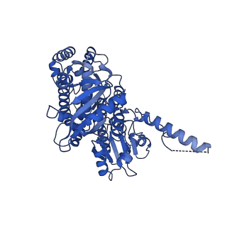 13494_7plo_C_v3-0
H. sapiens replisome-CUL2/LRR1 complex